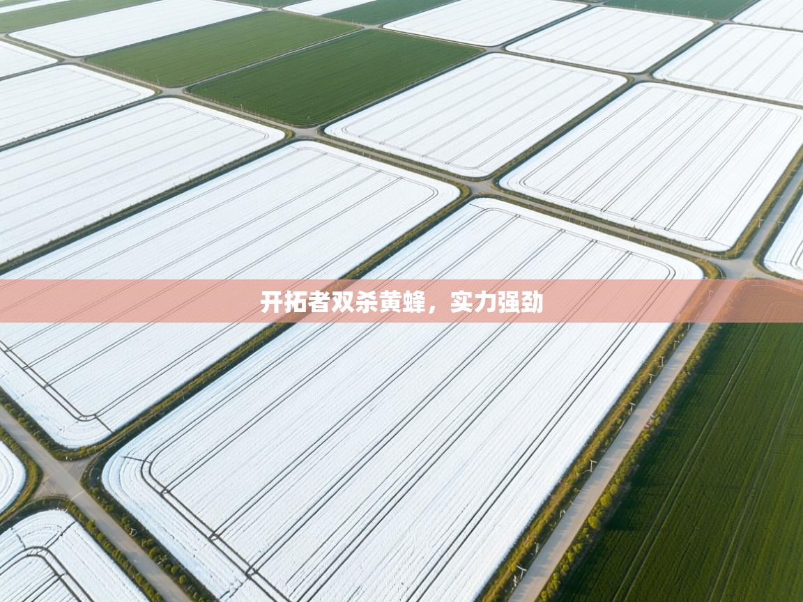 开拓者双杀黄蜂，实力强劲